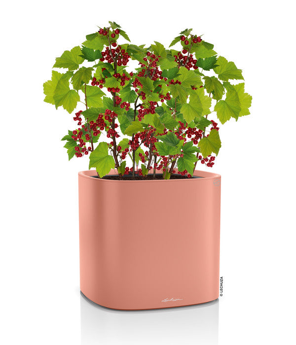  LECHUZA® Kunststoff-Topf Pila Color Planter, Rund, Ca. Ø35/H33 Cm