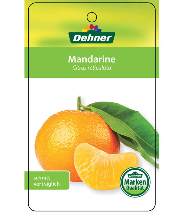  Mandarine