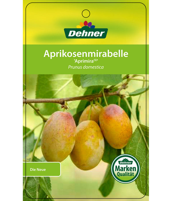  Dehner Aprikosenmirabelle 'Aprimira'