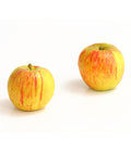  Winterapfel 'Cox Orange'