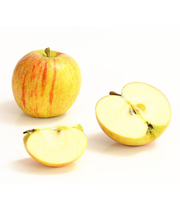  Winterapfel 'Cox Orange'