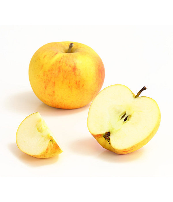 Winterapfel 'Goldparmäne'