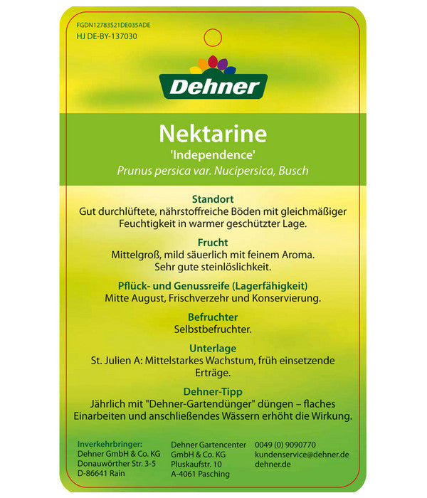  Dehner Nektarine 'Independence'