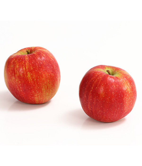  Winterapfel 'Jonagold'
