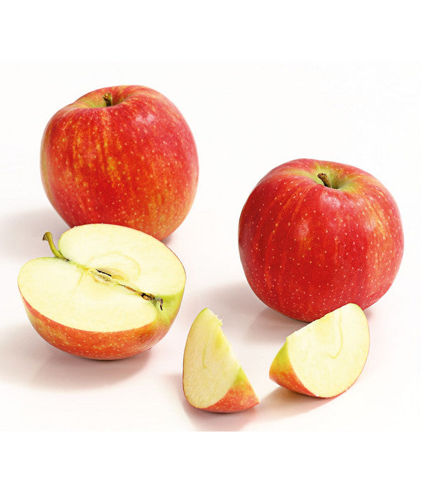  Winterapfel 'Jonagold'