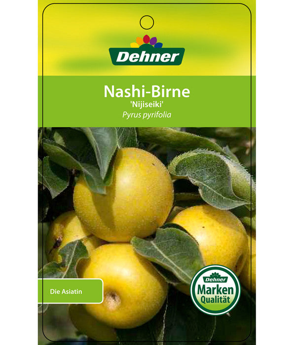  Nashi-Birne 'Nijiseiki'