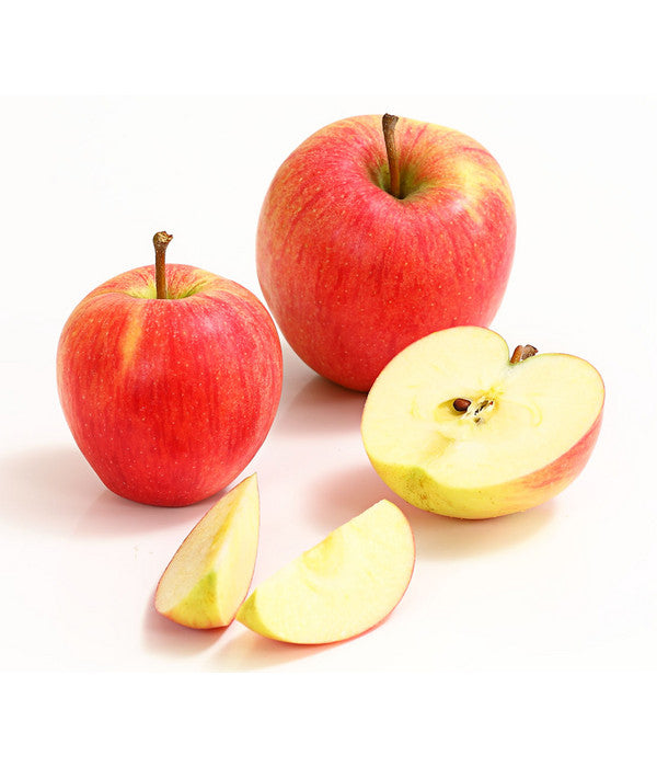  Winterapfel 'Pinova'