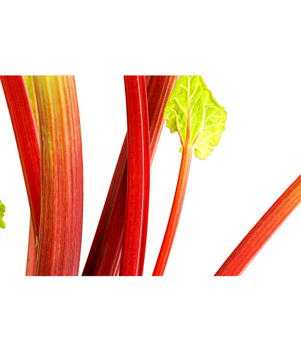  Dehner Gourmet Garten Himbeer-Rhabarber