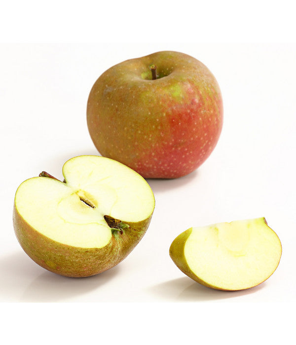  Winterapfel 'Roter Boskoop'