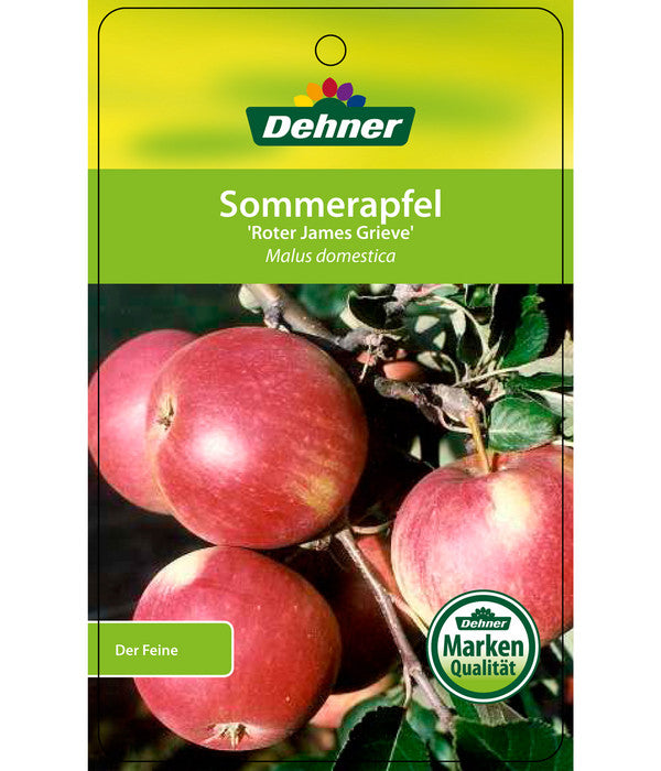  Sommerapfel 'Roter James Grieve'