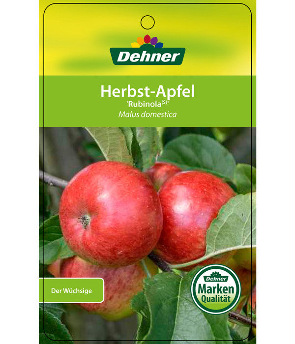  Herbstapfel 'Rubinola'