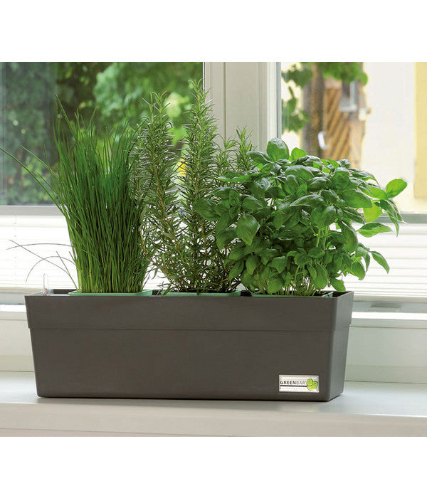  GREENBAR® Wasserstandsanzeiger