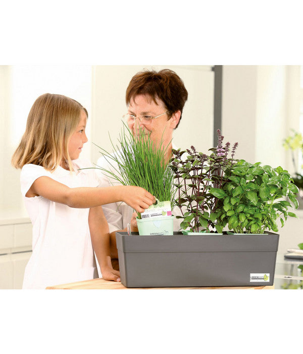  GREENBAR® Kräuterkasten, Ca. B48/H15,5/T16 Cm