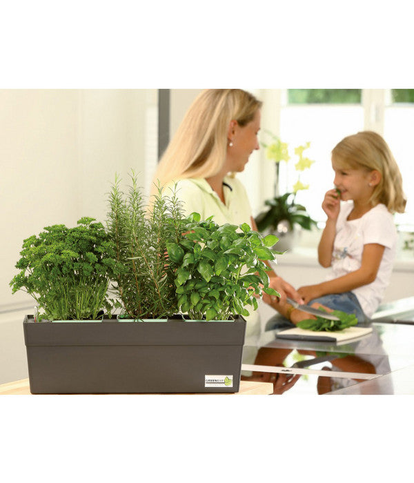  GREENBAR® Ersatzvlies, 3er-Pack