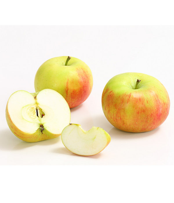  Säulenapfel 'Sonate'