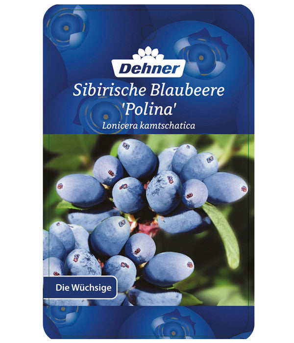  Maibeere