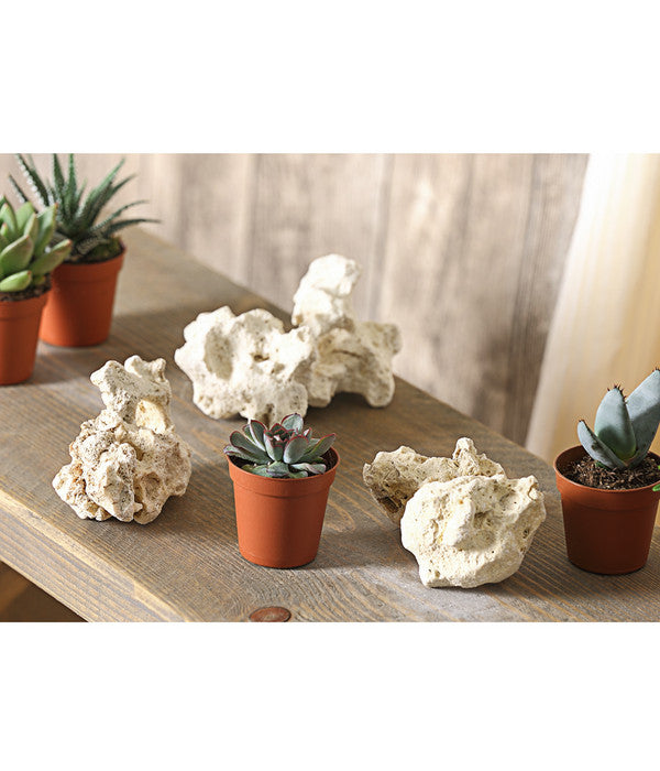  Sansibar Rock, 7-10 Cm, 3er-Set