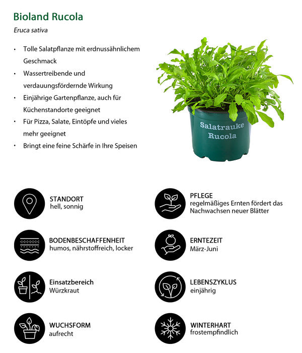  Bioland Rucola
