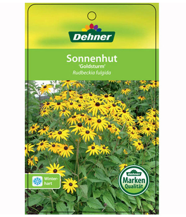  Sonnenhut 'Goldsturm'