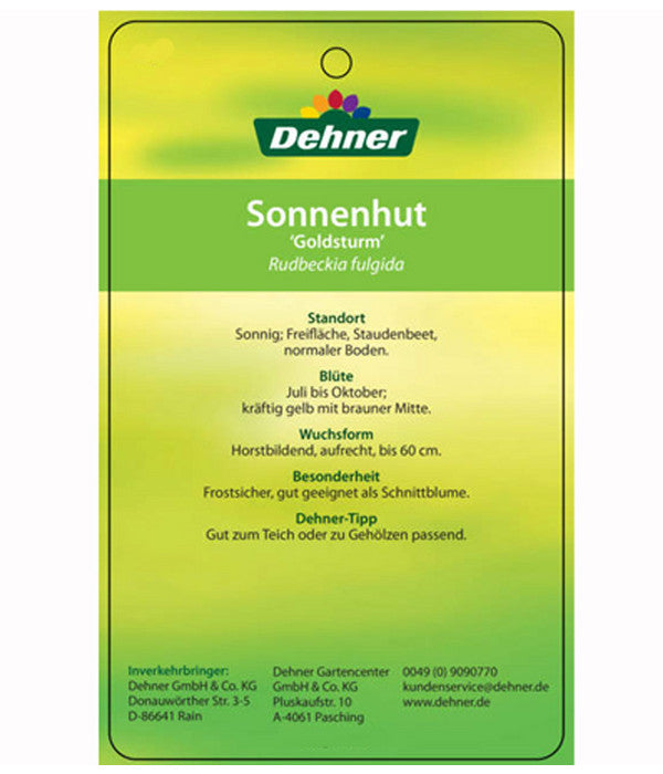  Sonnenhut 'Goldsturm'