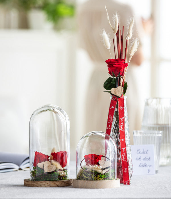  Longlife-Rose Mit Stiel, Rot