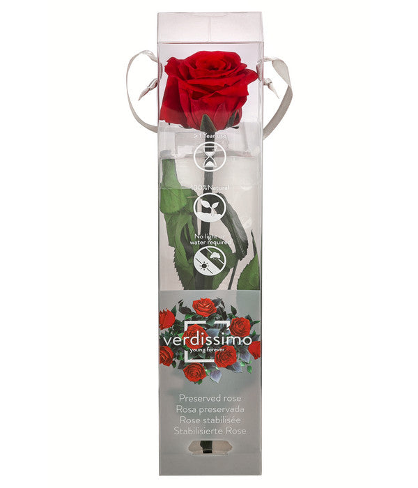  Longlife-Rose Mit Stiel, Rot