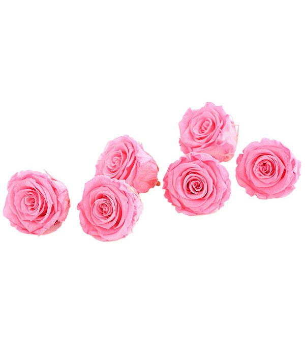  Longlife-Rose, Ca. Ø6 Cm