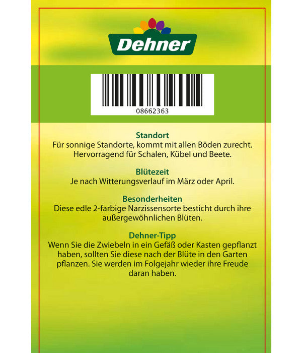  Narzisse 'Jetfire', Schale