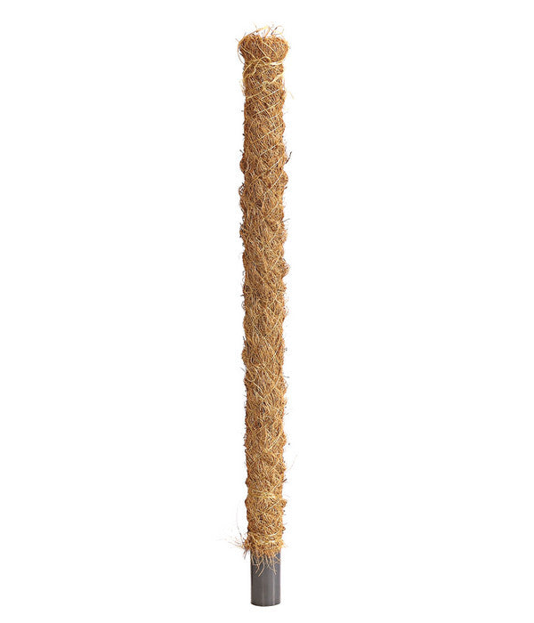  Dehner Moosstab