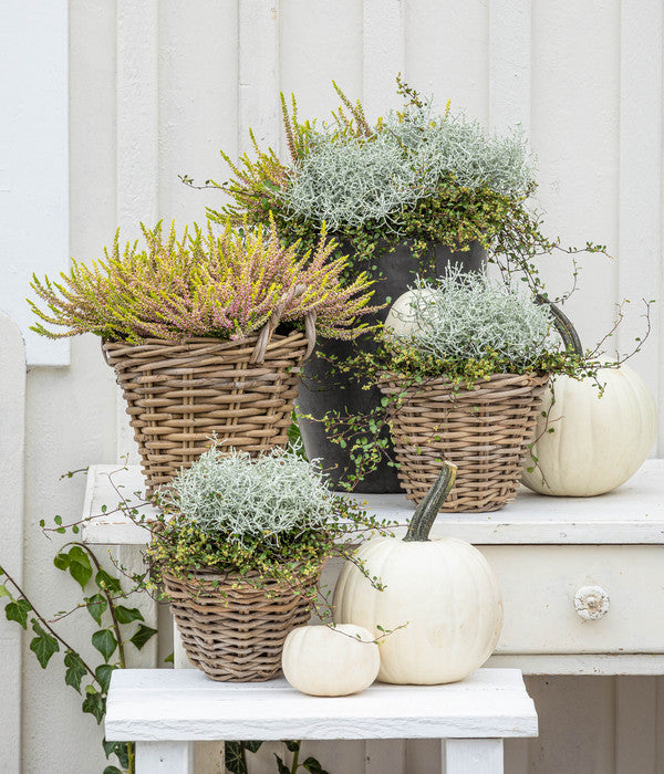  Rattan-Topf, Rund, Grau-braun