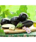  Dehner Gourmet Garten Aubergine, Veredelt