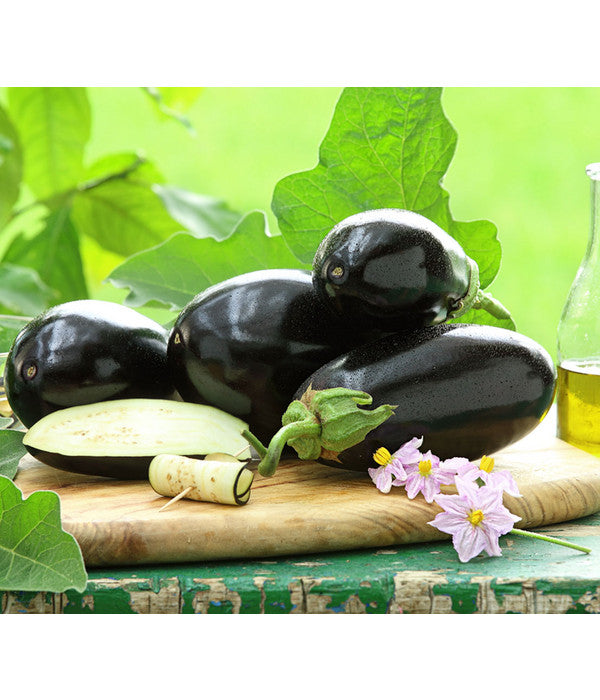  Dehner Gourmet Garten Aubergine, Veredelt