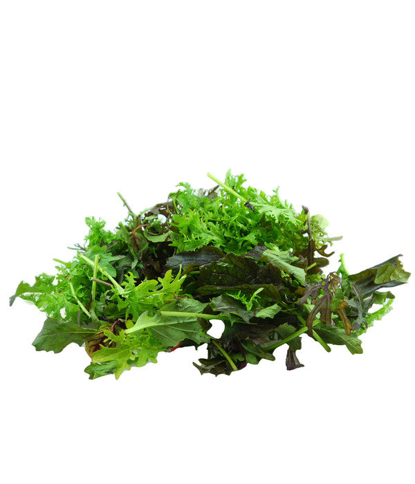 Bio Asia Wildkräuter Im Pottburri®-Topf