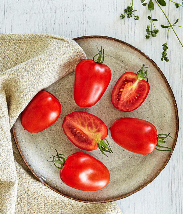  Bioland Eiertomate