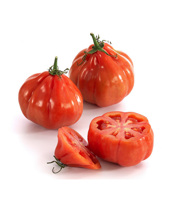  Ochsenherztomate 'Fleurette'