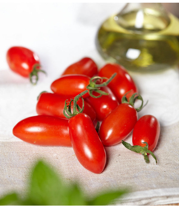  Mini San-Marzano Tomate 'Trilly'