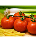  Tomate 'Garance'