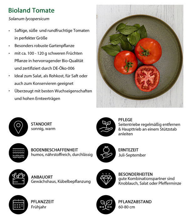  Bioland Tomate, Rundfruchtig