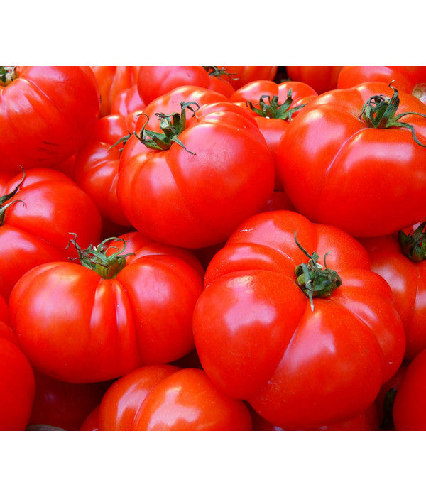  Bioland Fleischtomate