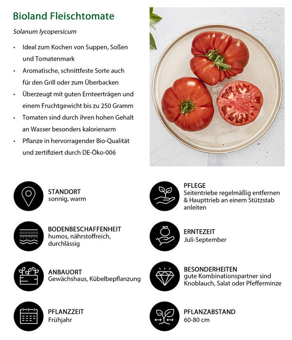  Bioland Fleischtomate