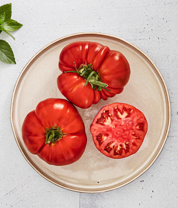  Bioland Fleischtomate