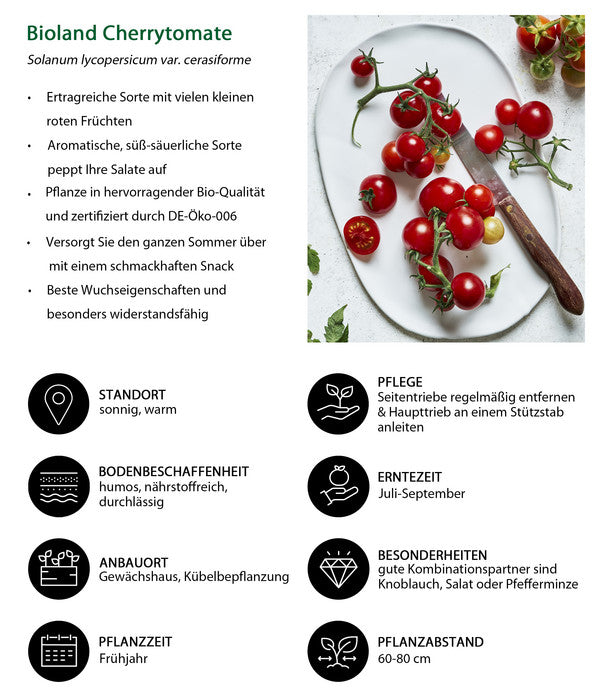  Bioland Cherrytomate