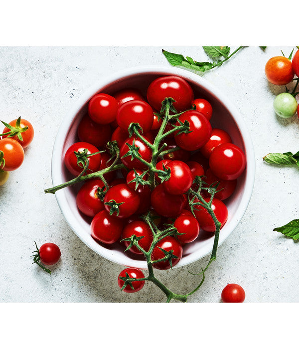  Bioland Cherrytomate